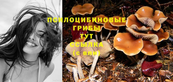 мдпв Иннополис
