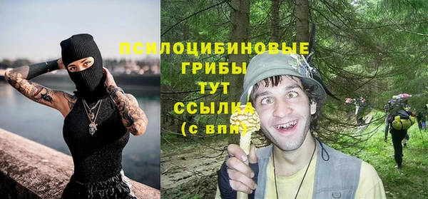 мдпв Иннополис