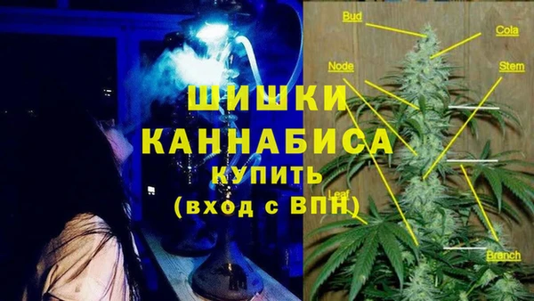 мдпв Иннополис