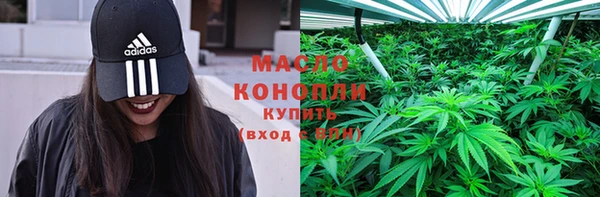 сатива Карпинск